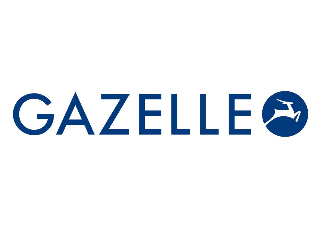 Logo Website
